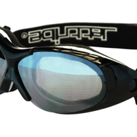 BLACK  FRAME/SMOKE LENS + CASE