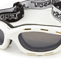 WHITE FRAME/SMOKE LENS