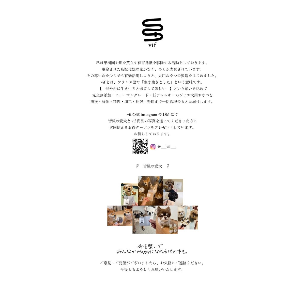 蝦夷鹿通常hiroジャーキ―1000gＡＫＩ 無添加　無着色 蝦夷鹿ジャーキー（グーテ）│ペットフードやアクセサリーなど