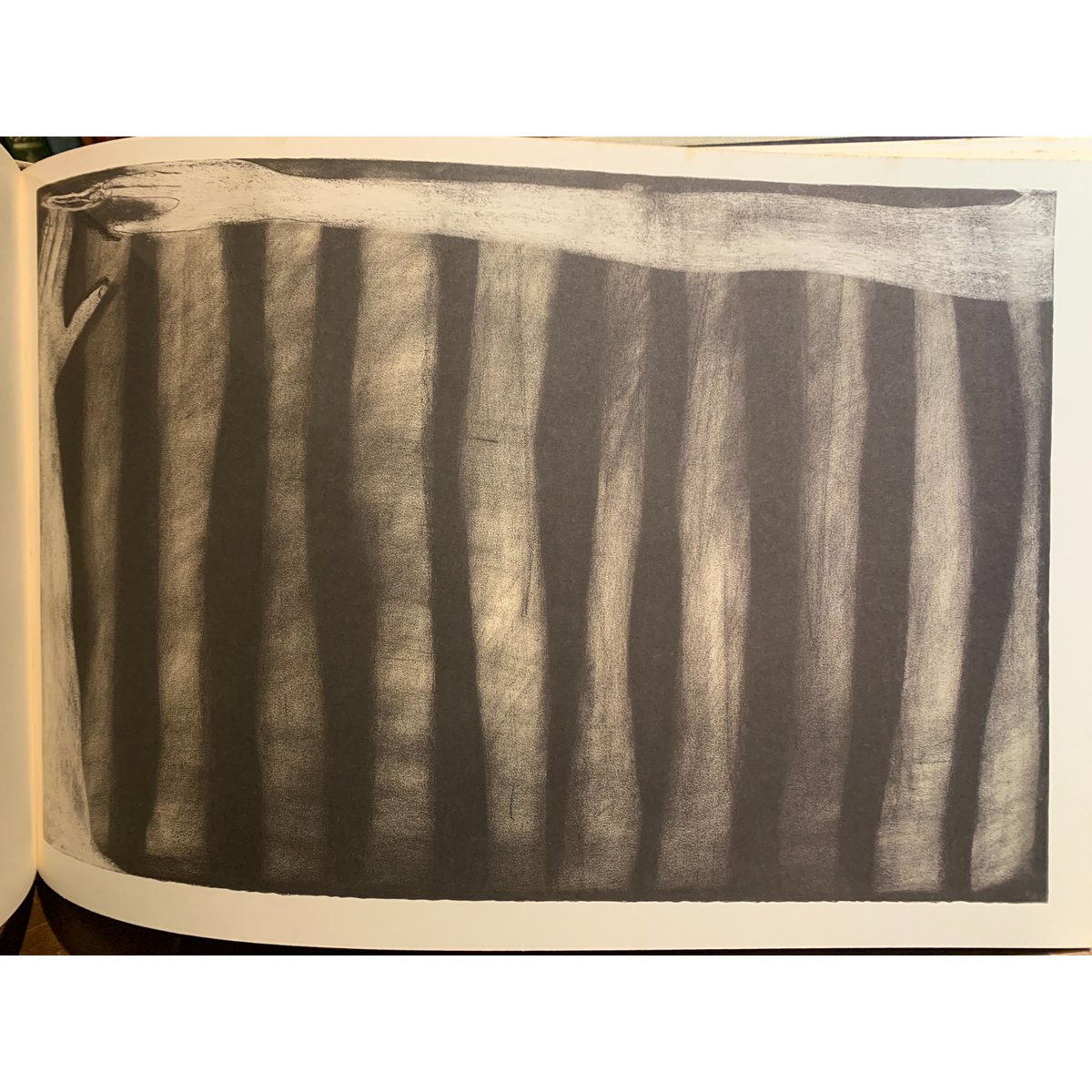 fit=scale-down,w=1200