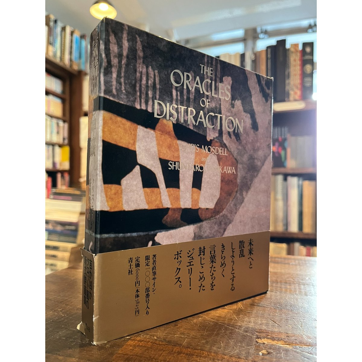 気晴らし神籤 : The oracles of distraction / クリス・モズデル,