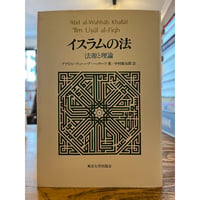 チベットの聖者ミラレパ　エヴァ・ヴァン・ダム著　中沢新一訳・解説 チベットの聖者ミラレパ / エヴァ・ヴァン・ダム | 三日月書店