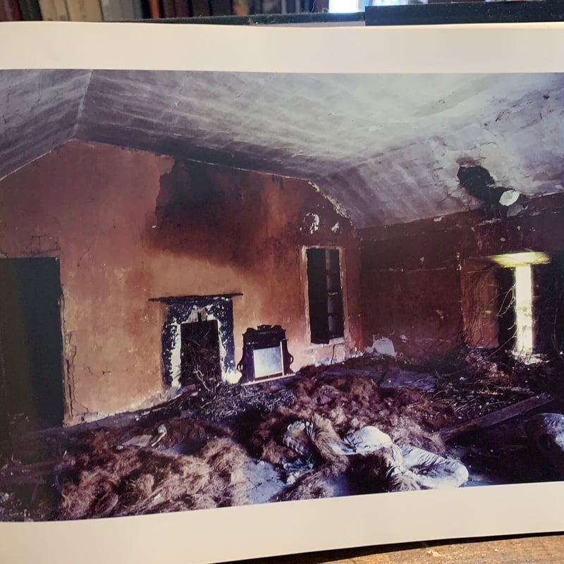 洋書 The Legacy of Don Alan 洋書 The Legacy of Don Alan 洋書 The Legacy of Don Alan The Legacy