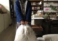 嘉拉糸3kg