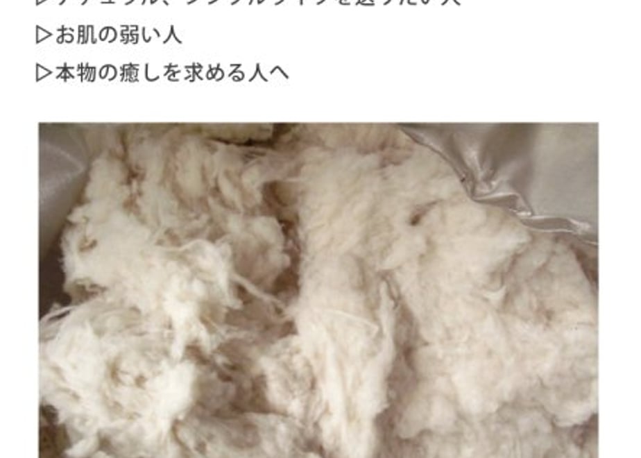 6586617f52cef9203b336755