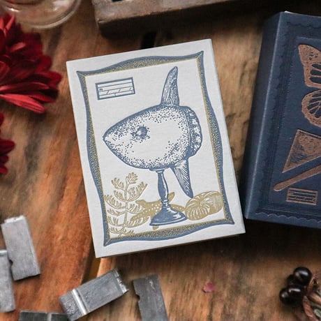 CATEGORY 箱・ボックス | meriBUN STORE