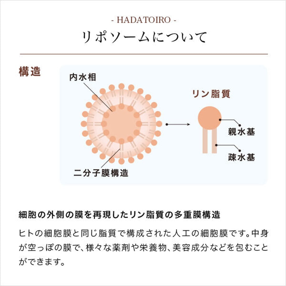 63e5e1d63313d277a6cb0e8f