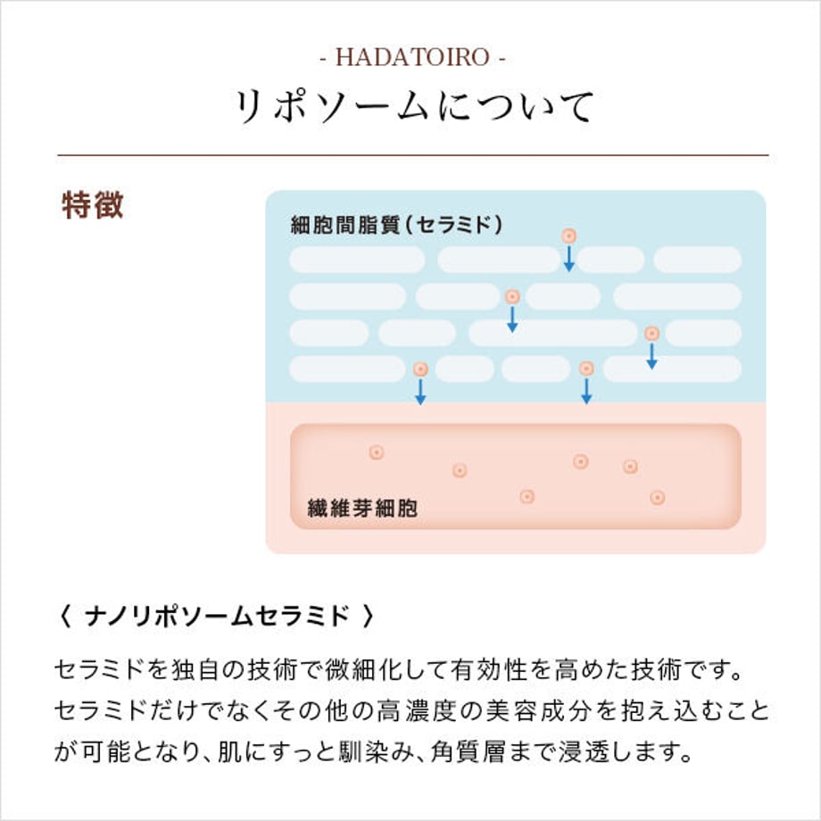 63e5e1d63313d277a6cb0e8f