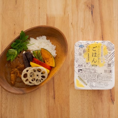 スパイシーカレーに合うごはん 180g×10個入