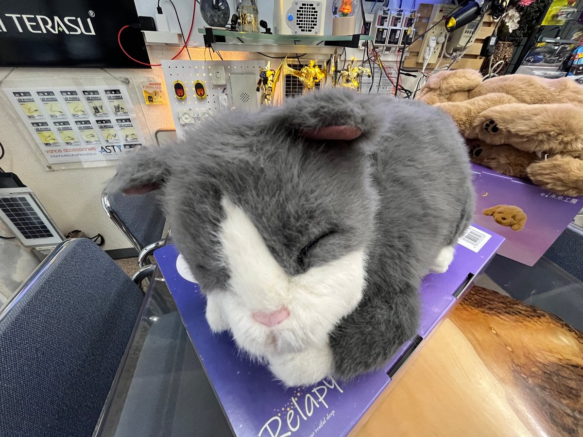 Relapy (リラピー) ペット型抱きまくら 犬と猫 2種類 RLP1-CT RLP1-DG