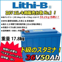 Lithi-B(リチビー） リチウムバッテリー 36V50Ah LiFePO4 (リン酸鉄リチウムイオンバッテリー) 【送料無料】