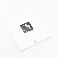 MONCLER. IL FAIT BEAU DEDANS. モンクレール カタログ 2001A/W