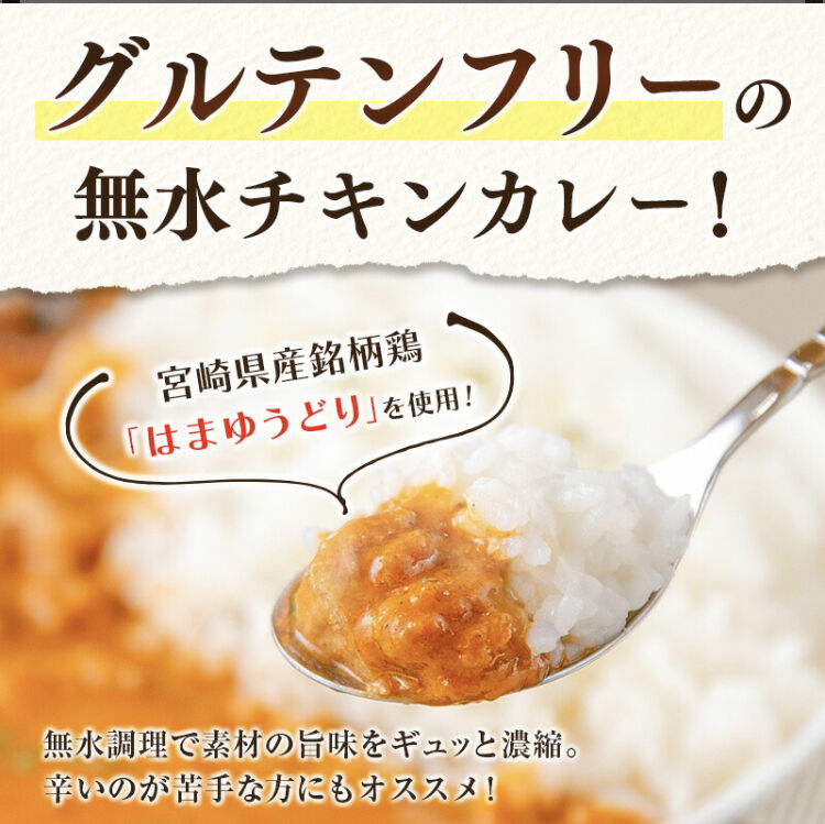 TEGEUMA SPICE CURRY 鬼面瓦 | junchanchi's STORE
