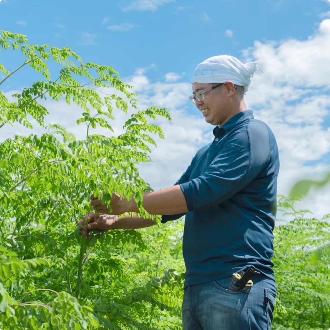 モリンガタブレット【MORINGA2000】 | 【公式】出田農円のオンライン