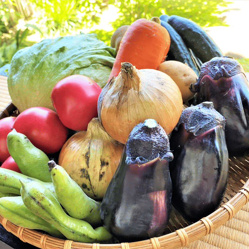 泉州の古民家朝市セレクション：季節の目利き野菜セット | mott J+