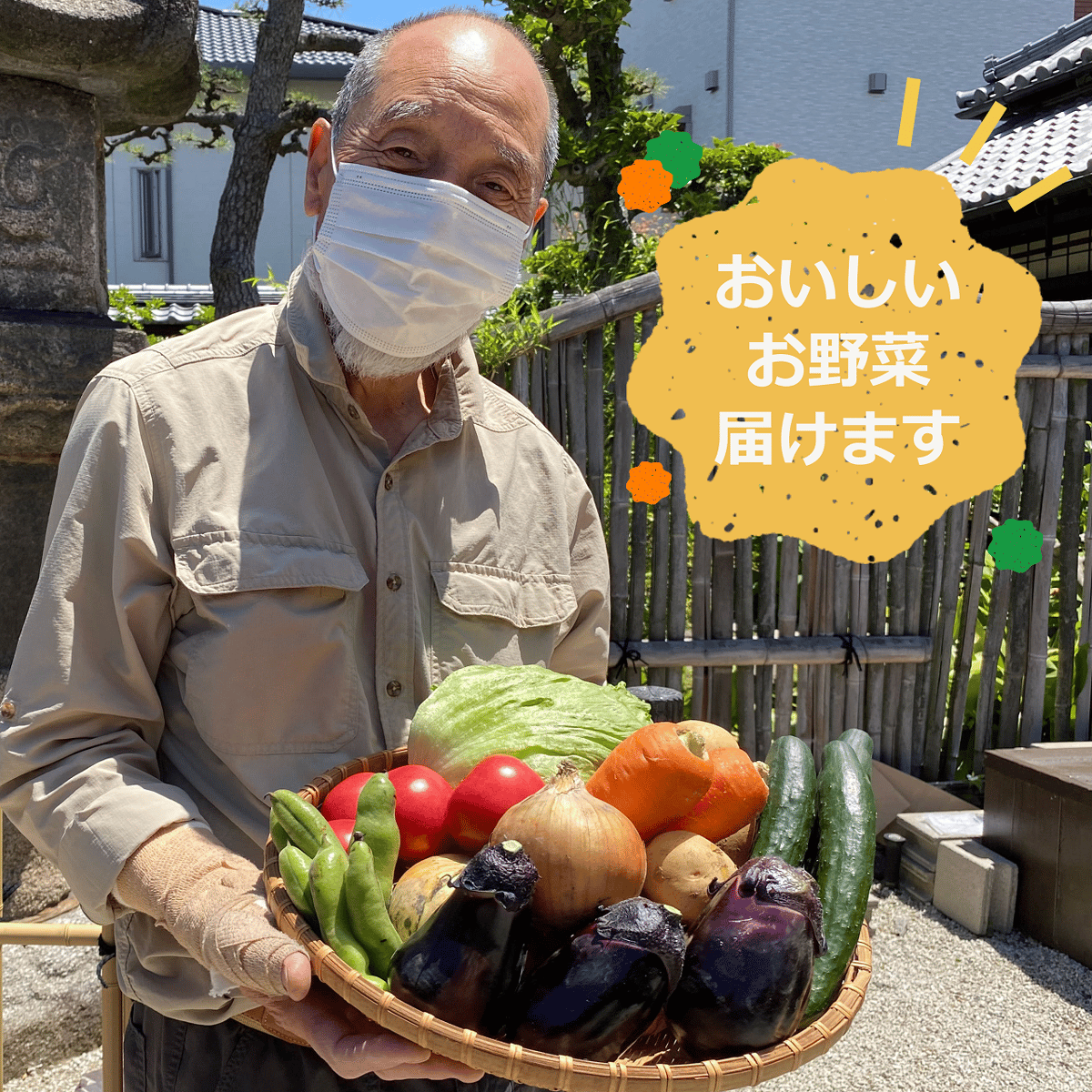 泉州の古民家朝市セレクション：季節の目利き野菜セット | mott J+
