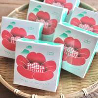 【送料無料】かめりあそーぷ６個セット