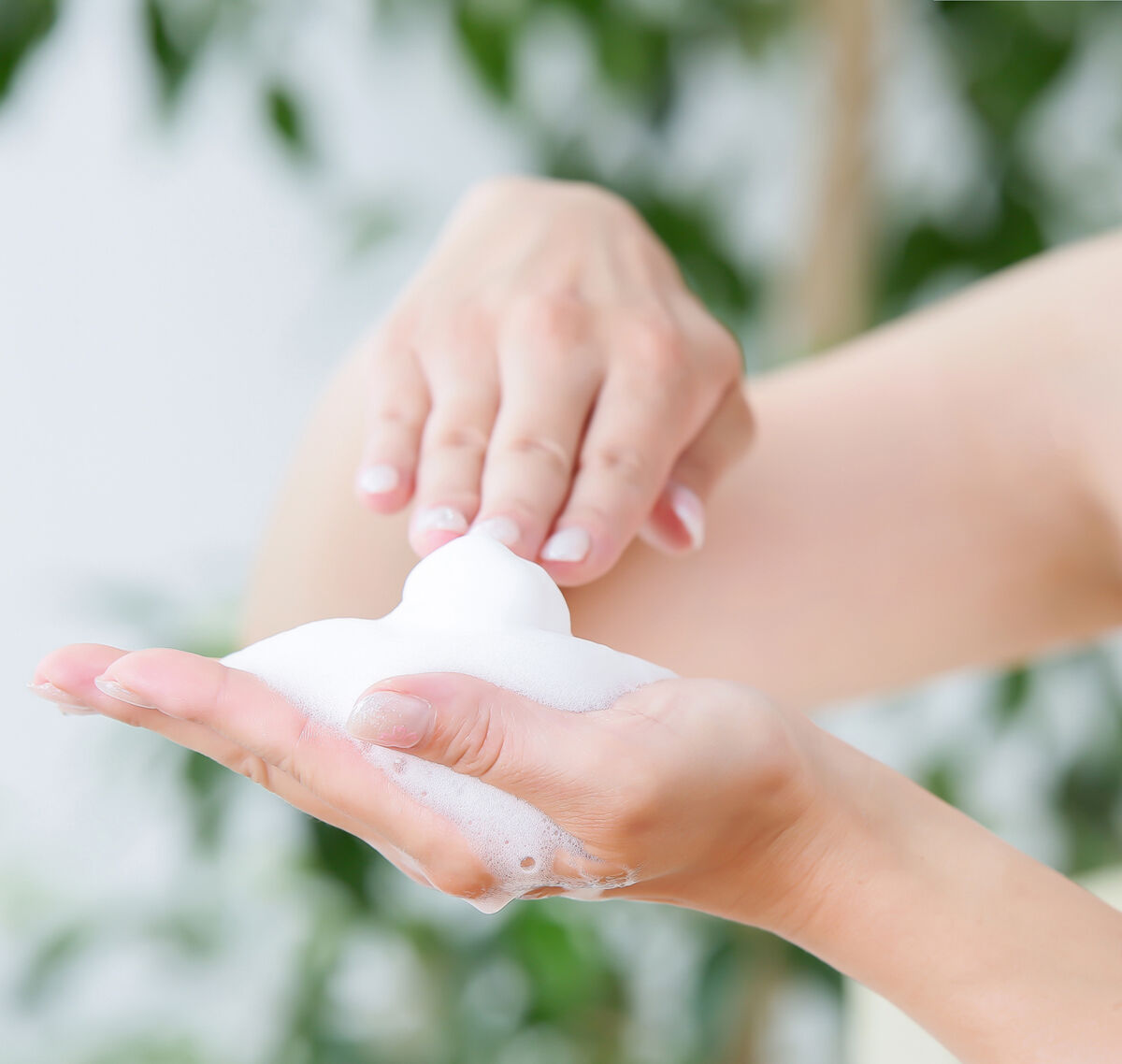 かめりあそーぷ | いおう椿