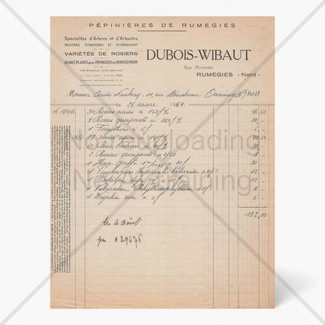 フランス　ヴィンテージペーパー (Dubois-Wibaut)