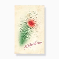 ソビエト　赤い菊　おめでとう（Поздравляю）　二つ折りグリーティングカード
