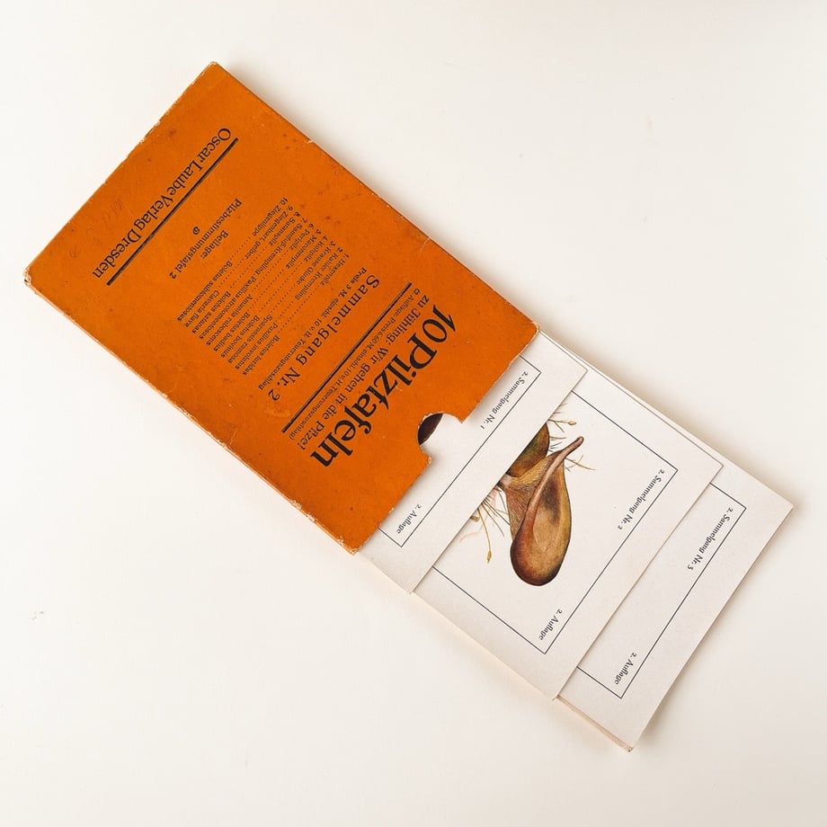 651934e8bd17484e8d911d12