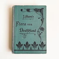 ドイツ　Sturm’s Flora von Deuchland 12 (1904)　植物図鑑