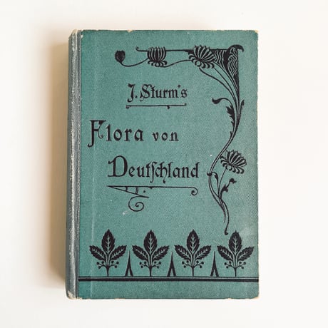 ドイツ　Sturm’s Flora von Deuchland 12 (1904)　植物図鑑