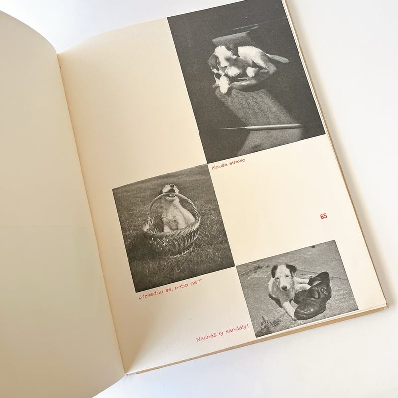 チェコスロバキア Dášenka ダーシェニカ カレル・チャペック 絵本