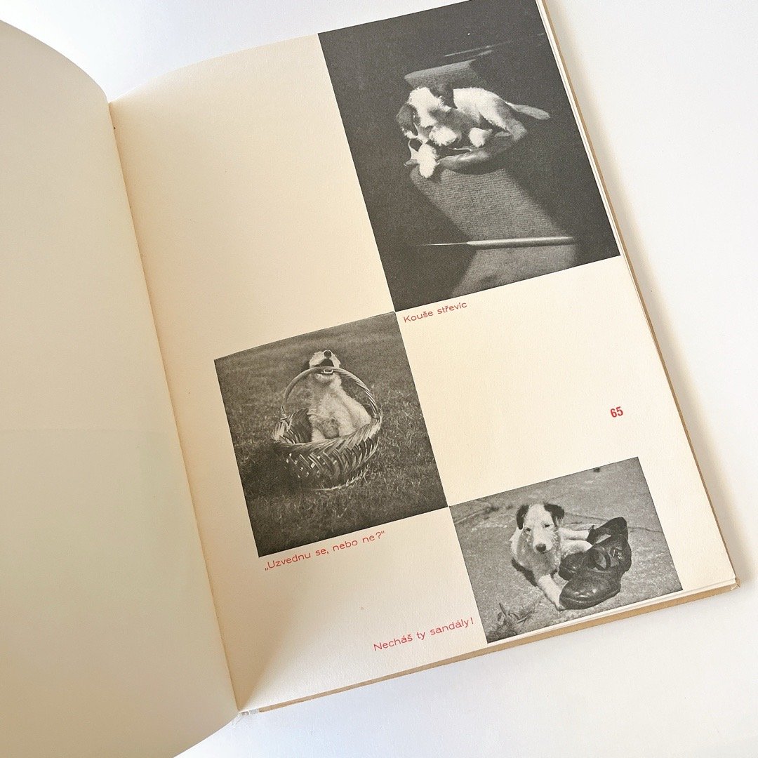 チェコスロバキア Dášenka ダーシェニカ カレル・チャペック 絵本