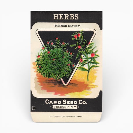 シードパケット　種袋　アメリカ　HERBS SUMMER SAVORY