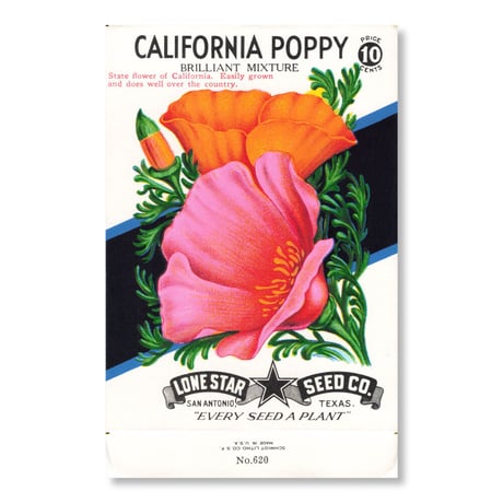 シードパケット　種袋　アメリカ　California Poppy - Brilliant Mixture. State Flower of California.