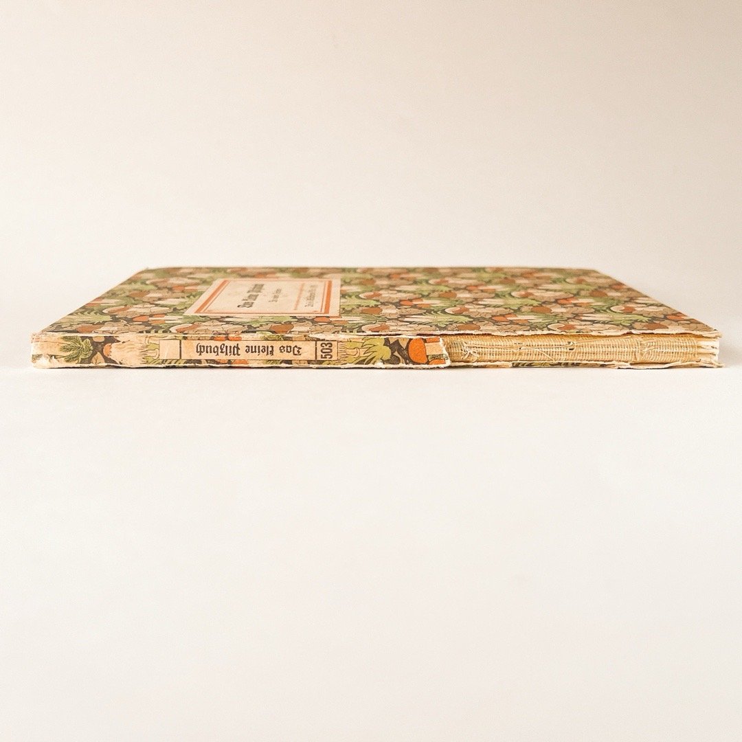 ドイツ インゼル文庫「Das kleine Pilzbuch」No.503（きのこ図鑑） 19