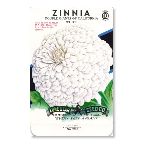 シードパケット　種袋　アメリカ　Zinnia - Double Giants of California White
