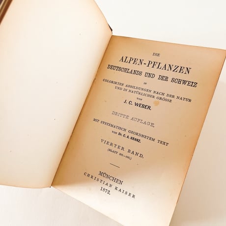 ドイツ　Alpen Pfranzen　植物図鑑 - IV