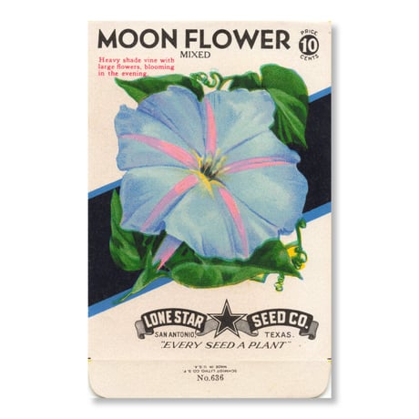 シードパケット　種袋　アメリカ　Moon Flower  - Mixed