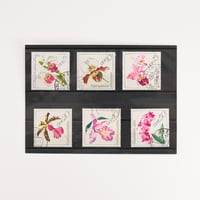 切手セット　東ドイツ　ランの花