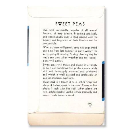 シードパケット　種袋　アメリカ　Sweet Pea - Cuthbertson White