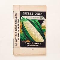 シードパケット　種袋　箱　アメリカ　SWEET CORN 白 ひげあり