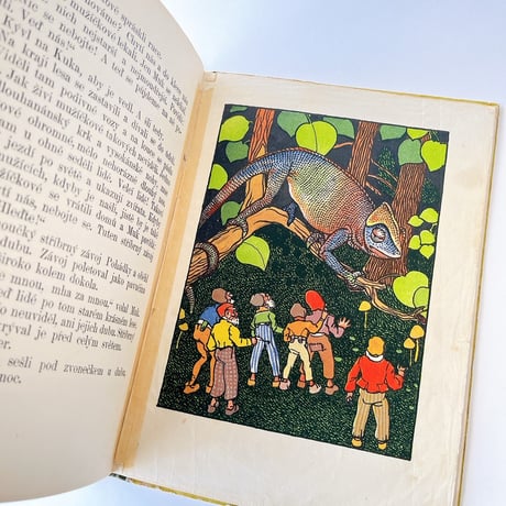 チェコスロバキア　IVÁNKOVY POHÁDKY　絵本