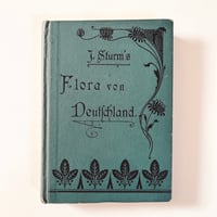 ドイツ　Sturm’s Flora von Deuchland 7 (1904)　植物図鑑