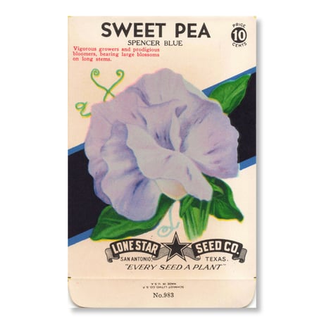 シードパケット　種袋　アメリカ　Sweet Pea - Spencer Blue