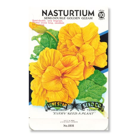 シードパケット　種袋　アメリカ　Nasturtium - Semi-Double Golden Gleam