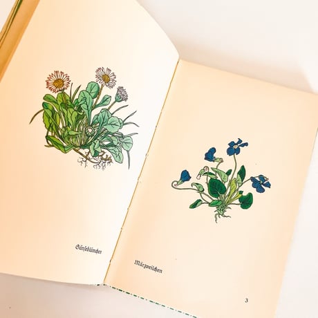 ドイツ　インゼル文庫「Das klein Buch der Blumenbuch」No.281（野の花図鑑）1938年