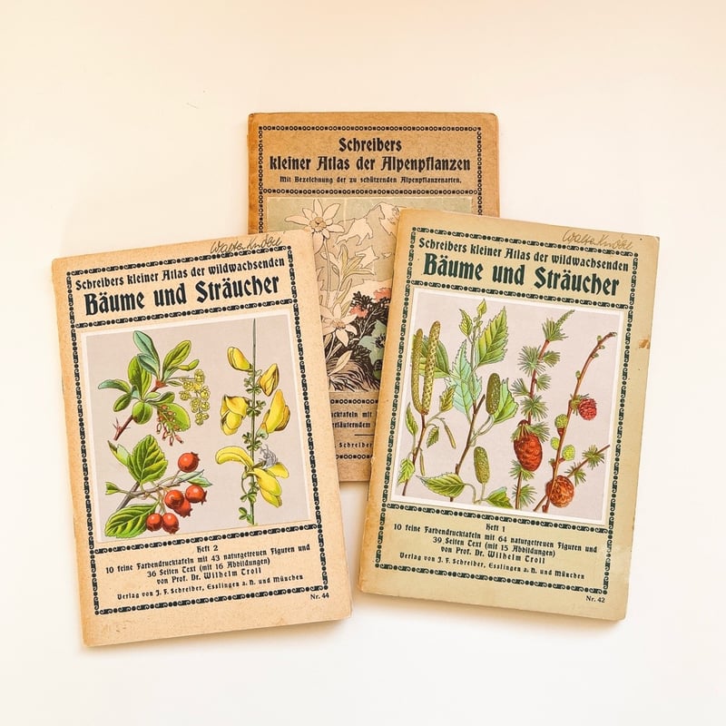 ドイツ 植物図鑑 Bäume und Sträucher, Heft 1, 1934 | こぐま舎