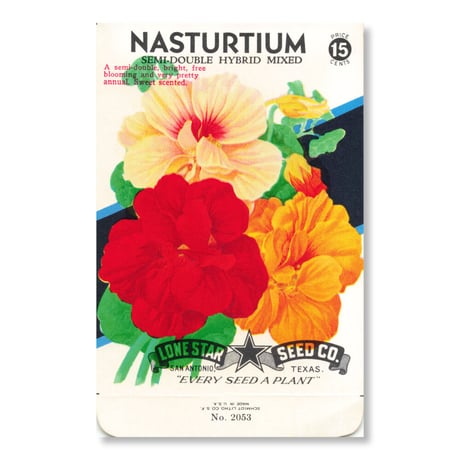 シードパケット　種袋　アメリカ　Nasturtium - Semi-Double Hybrid Mixed