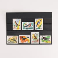 切手セット　ハンガリー　鳥類
