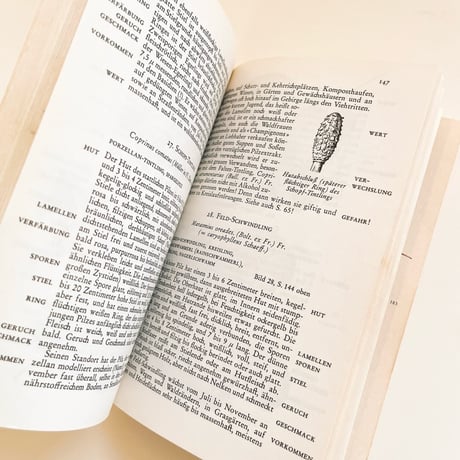 東ドイツ　きのこ図鑑　Knaurs Pilzbuch (1973)