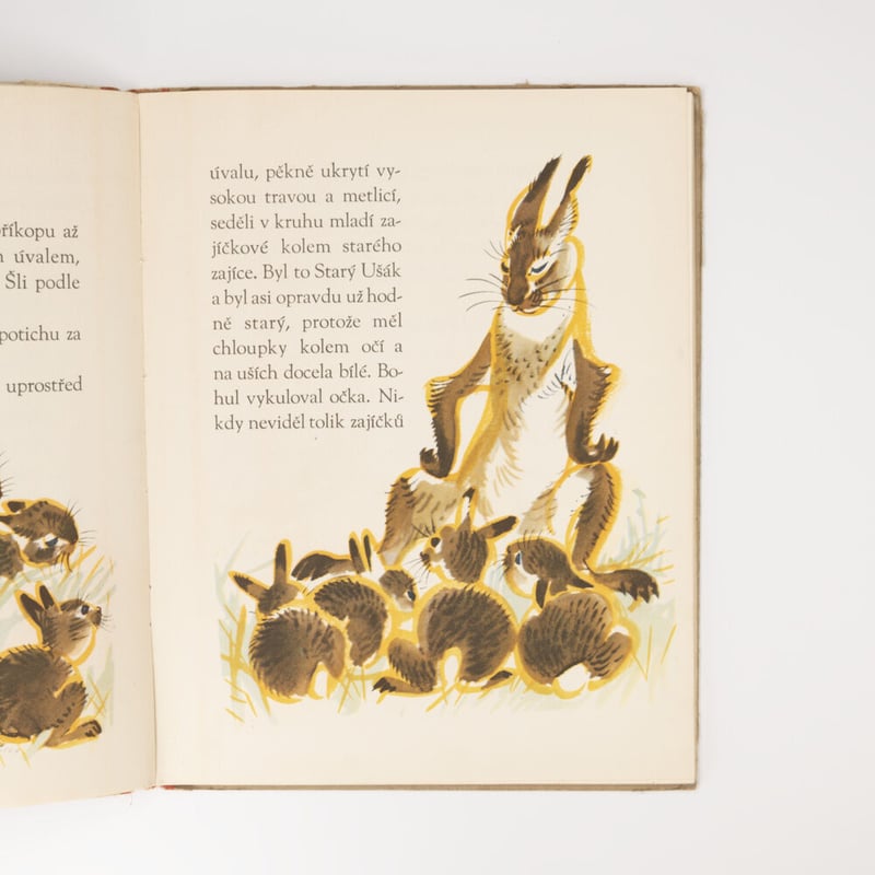 チェコスロバキア Bohul u zajíčků 1948年 アントニン・ポスピシル