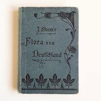 ドイツ　Sturm’s Flora von Deuchland 15 (1904)　植物図鑑
