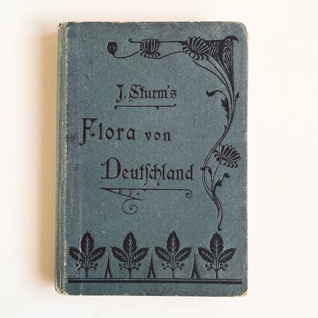 ドイツ　Sturm’s Flora von Deuchland 15 (1904)　植物図鑑